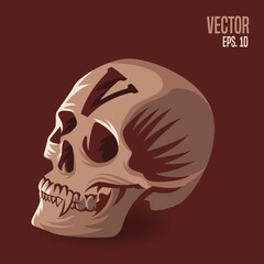 Skull Alphabet V Illustration
