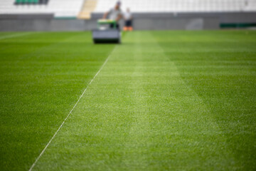 Green grass soccer field