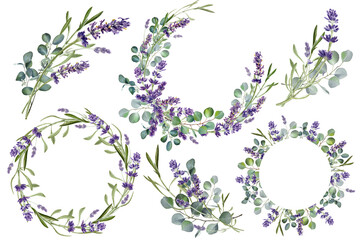 Watercolor eucalyptus leaves and lavender flower illustration. Floral frame, border bouquet set. Greenery wreath.  Wedding invitation. Provence clipart Isolated on transparent background - obrazy, fototapety, plakaty