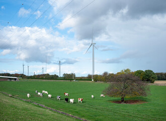 Fototapeta na wymiar belgian landscape with wind turbines and cows between brussels and charlerloi