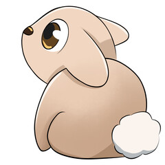 Petit lapin