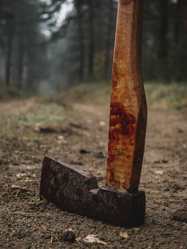 Murder weapon, bloody axe in mud.