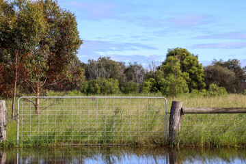 gate in the field with water from rainfall in the foreground