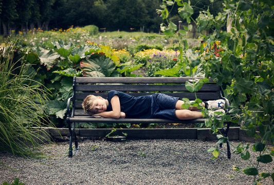 Boy sleeping on bench in park