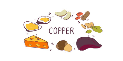 Copper-containing food. Groups of healthy products containing vitamins and minerals. Set of fruits, vegetables, meats, fish and dairy