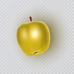 Yellow apple on Transparent Background. Vector illustration
