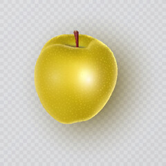 Yellow apple on Transparent Background. Vector illustration