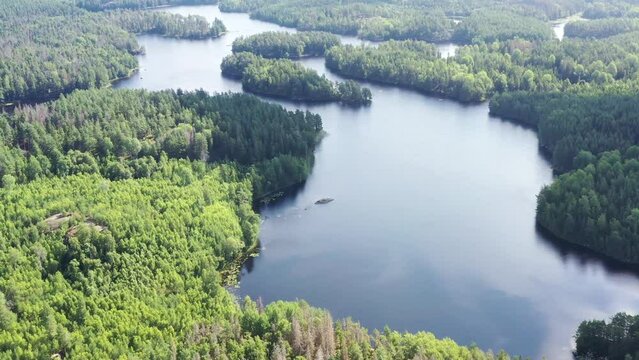 lac et foret en su&egrave;de en &eacute;t&eacute;
