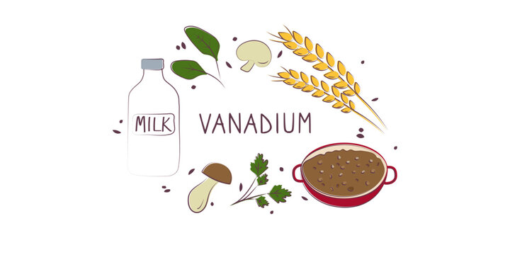 Vanadium-containing food. Groups of healthy products containing vitamins and minerals. Set of fruits, vegetables, meats, fish and dairy.