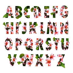 Floral letters. Capital letters made from flower photos. A collection of flora letters for decorations and various creation ideas.