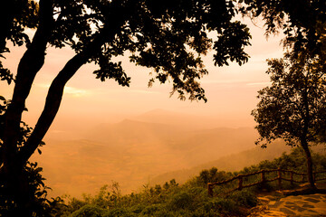 Silhouette of tree with the hill morning sun behind the tree