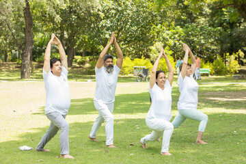 Group of indian senior people doing yoga sitting on grass. Mature man and woman wearing white cloths practicing meditation together outdoor.