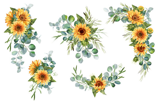 Sunflower and eucalyptus leaves bouquet. Watercolor floral clipart. Yellow flowers for rustic wedding design, thanksgiving decoration, fabric, greeting cards. Isolated on transparent background