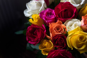Bunch of colorful roses. Beautiful bouquet of roses in variety of colors on dark background. Copy space