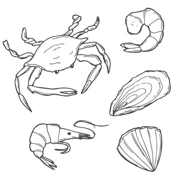 Hand drawn Seafood set. Decorative icons Squid, Octopus, salmon, oysters, scallops, lobster, red perch ,crab, shellfish and mussels. Vector illustration in old ink style