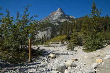 Grotto Creek Trail at Canmore,Alberta,Canada,North America
