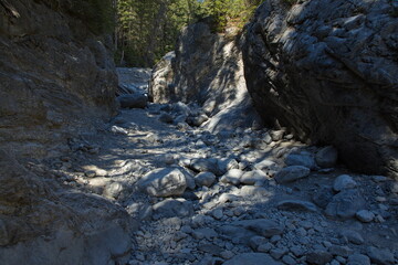 Grotto Creek Trail at Canmore,Alberta,Canada,North America
