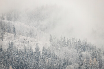 Zima © Katarzyna