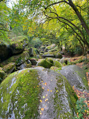 Chaos granitique de la forêt de Houelgat, Finistère, Bretagne, France