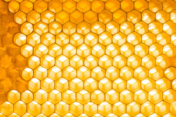 Honeycomb close up background. Natural honey in honeycomb wallpaper. Beekeeping concept. Cells of a frame partially filled with honey