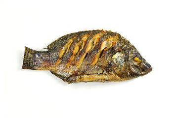 Grilled tilapia fish, isolate on white background.