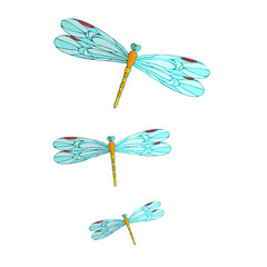Dragonfly jewelry. Three dragonflies. PNG illustration