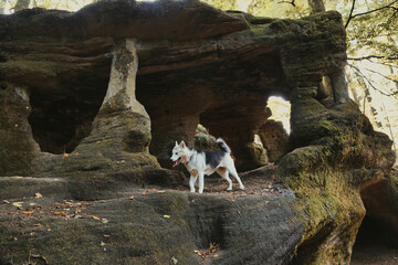 Husky , tourisme, grotte