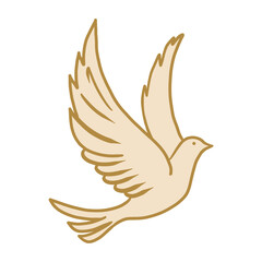 Elegant Pigeon Hand Drawn