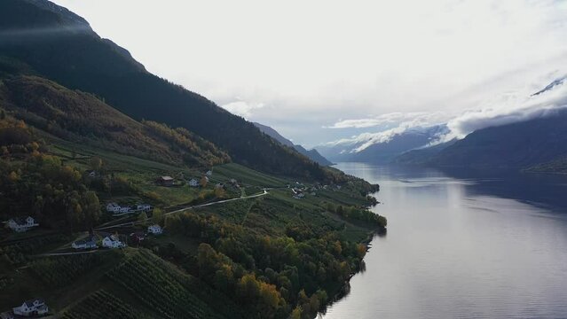 Lutro farm at east side of Sorfjorden with Oddan in the end of the fjord - Autumn scenic agriculture and landscape clip from Ullensvang Hardanger Norway - Sunny day aerial with backlight