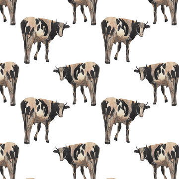 Cow pattern.Farm.Watercolor print on white background.Natural hand drawn pattern