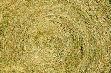 Close up of a hay bale