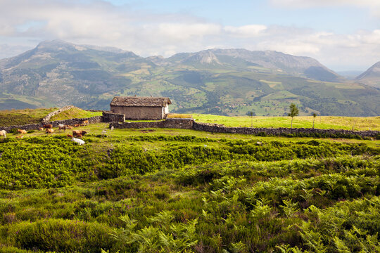 Portillo De La Sía