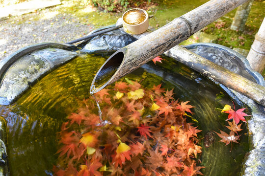 手水鉢と紅葉