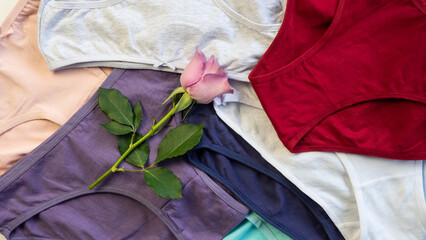 Panty set. A set of colorful, cotton classic panties. Close-up. Underwear. Woman pants.