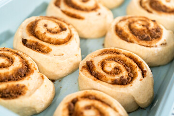 Cinnamon rolls