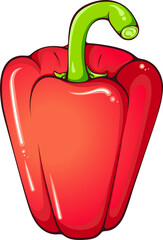 Whole red paprika pepper. Vector color illustrations in hand drawn cartoon style. Fresh organic food isolated on white. Close up paprika vegetable. Element for cookbook, sticker, design, print.