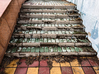 Steps leading up after the rain.