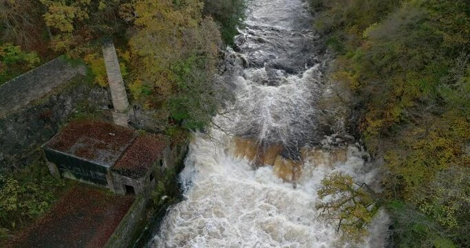Drone footage directly above a fast flowing river and waterfall and surrounded by old buildings tilts up to follow the river as autumnal trees overhang the gorge. Falls of Clyde, New Lanark, Scotland.