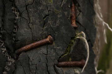 rusty bent nails hammered into an old scratched board.