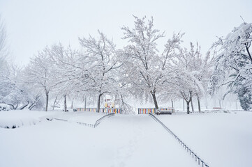 Blizzard covered a park with snow after a Cyclogenesis. Cold winter scenes at the city.
