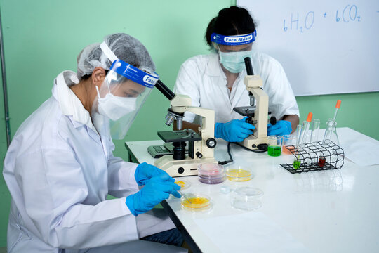 Scientists looking at tissue samples or specimens in the laboratory