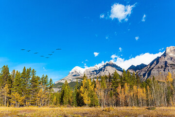 Around Abraham Lake