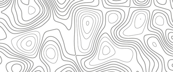 White wave paper curved reliefs abstract background, Abstract topographic contours map background. Geographic mountain relief. Abstract lines background. Contour maps. Business concept.