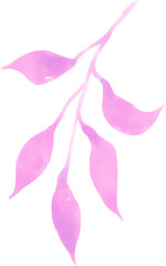 Colorful flower blossom bloom botanical japan garden