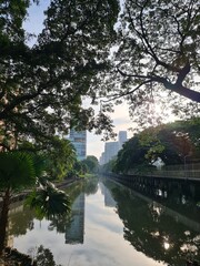 bridge in the park