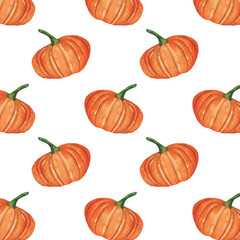 Pumpkin pattern.Farm.Watercolor print on white background.Natural hand drawn pattern