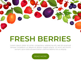 Fresh berries landing page template. Healthy organic food web banner, website with ripe berries pattern cartoon vector