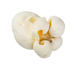 Single popcorn seed, macro shot isolated on transparent background as png clipart