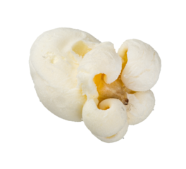 Single popcorn seed, macro shot isolated on transparent background as png clipart