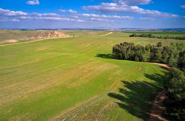 Spring  landscape in the countryside, Israel. Aerial view